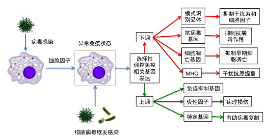 中国农业科学院上海兽医研究所