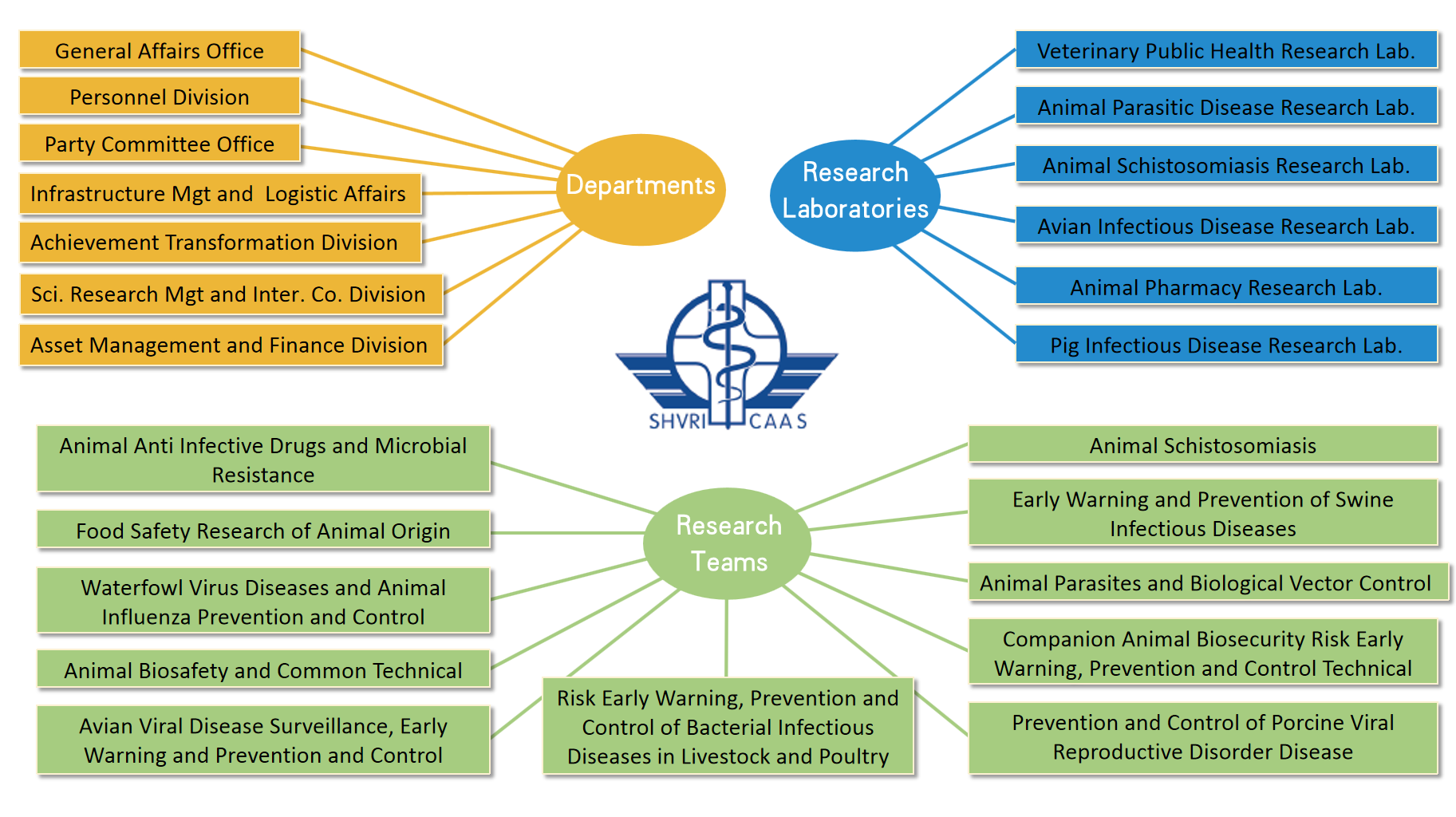 Organisational Chart.png