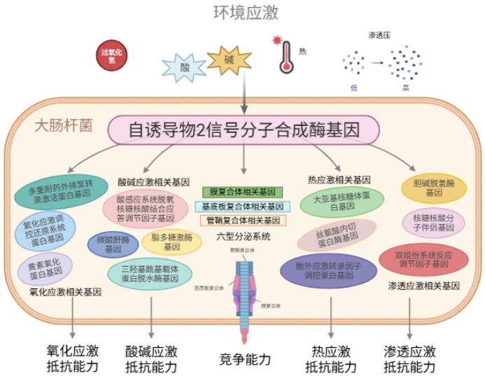 8fe8f7ceacc39a6bc1b79ac9728b6108.png